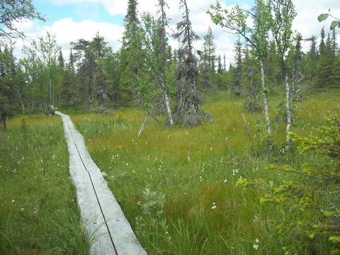 Urho Kekkonen national parc
