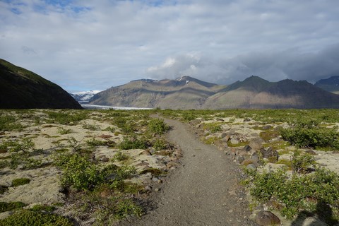 Vers le Skaftafellsjökull