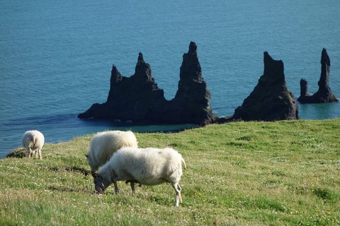 Reynisdrangar