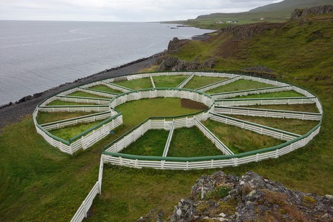 Hamarsrett