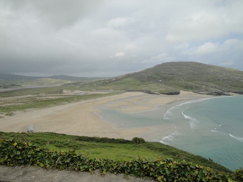 Barleycove
