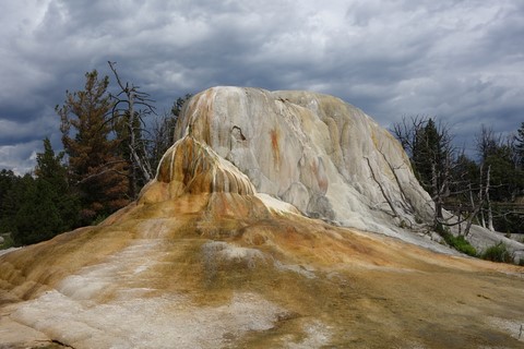 Orange spring mound