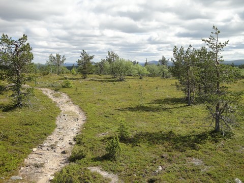 Urho Kekkonen national parc