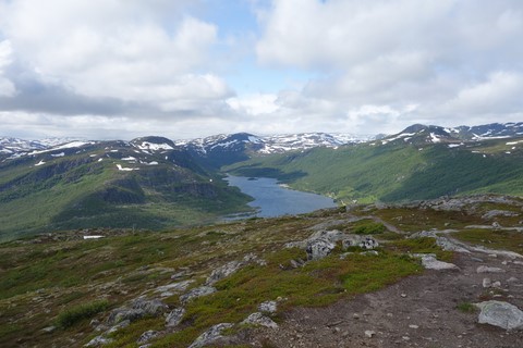 Hovdenuten