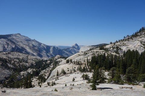 Olmsted point