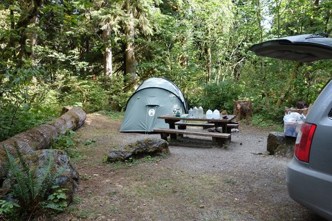 shannon creek